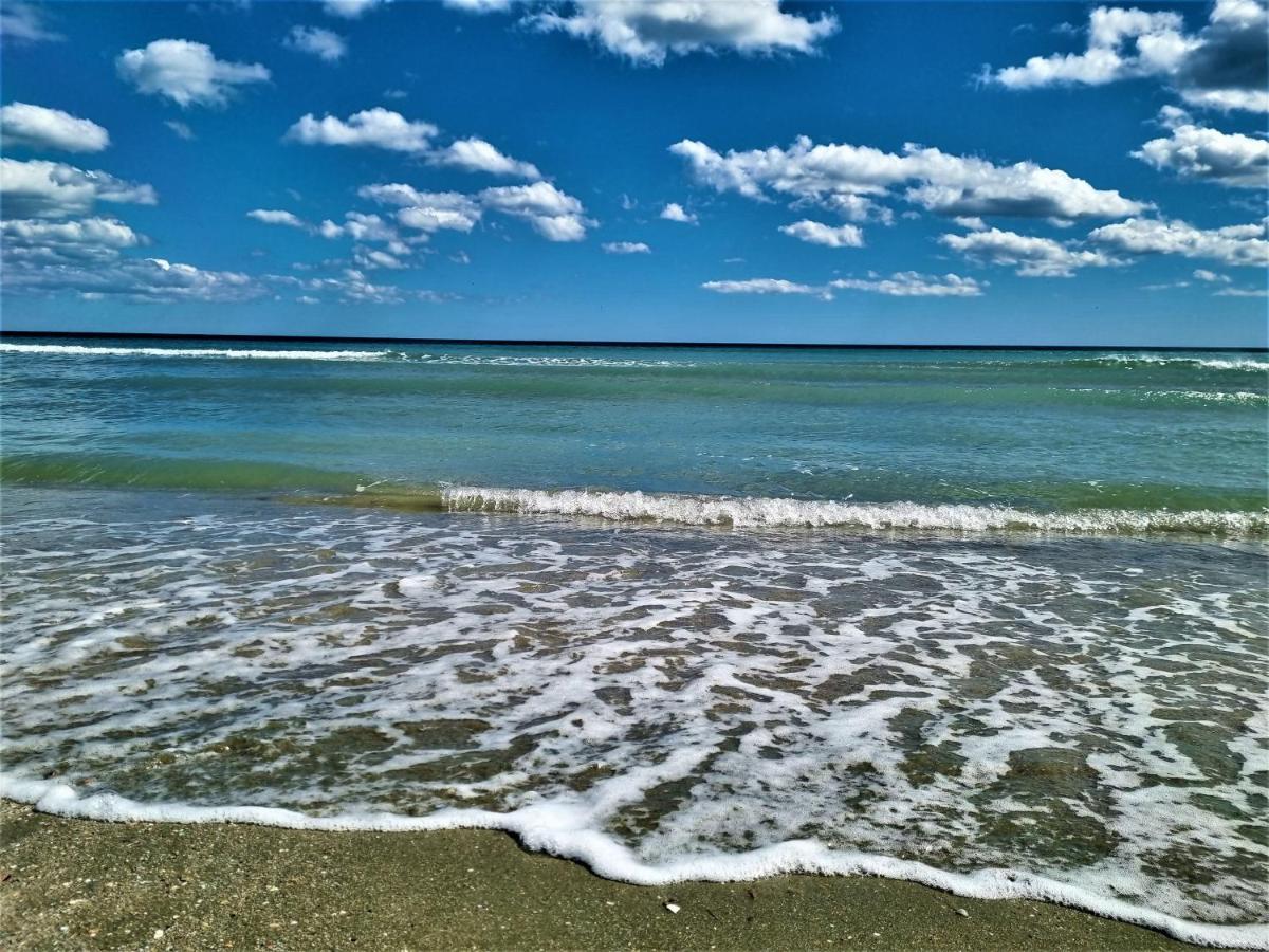 Summer Onix Mamaia Nord Apartament Năvodari Exteriör bild
